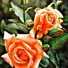 Cross stitch pattern: #400896