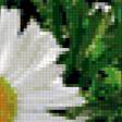 Preview of cross stitch pattern: #403188