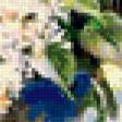 Preview of cross stitch pattern: #403366