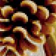 Preview of cross stitch pattern: #404252