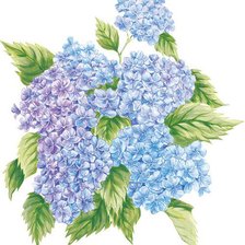 Cross stitch pattern: #404294