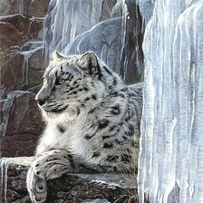 Cross stitch pattern: #404388