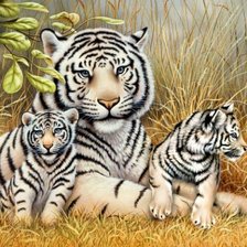 Cross stitch pattern: #404923