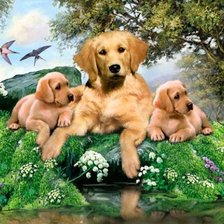 Cross stitch pattern: #404931