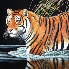 Cross stitch pattern: #405187