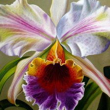 Cross stitch pattern: #405547