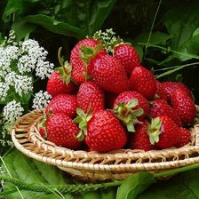 Cross stitch pattern: #405688