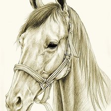 Cross stitch pattern: #405832