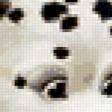 Preview of cross stitch pattern: #405898