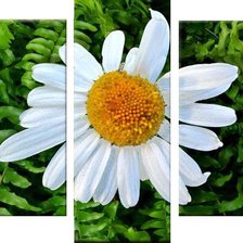 Cross stitch pattern: #406029