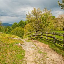 Cross stitch pattern: #406092