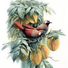 Cross stitch pattern: #407161