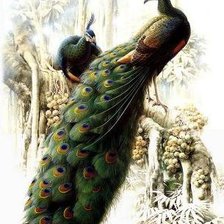 Cross stitch pattern: #407163