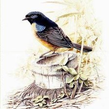 Cross stitch pattern: #407164