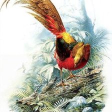 Cross stitch pattern: #407165