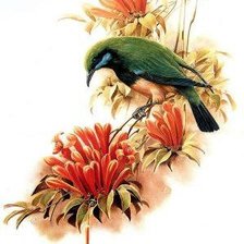 Cross stitch pattern: #407167