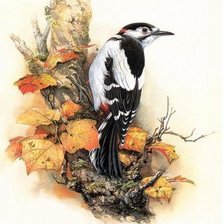 Cross stitch pattern: #407168