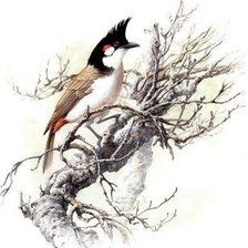 Cross stitch pattern: #407169