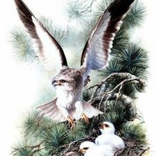 Cross stitch pattern: #407171