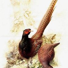 Cross stitch pattern: #407172