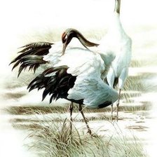 Cross stitch pattern: #407173