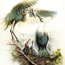 Cross stitch pattern: #407174