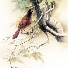 Cross stitch pattern: #407175