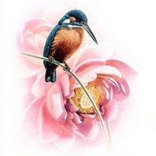 Cross stitch pattern: #407177