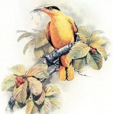 Cross stitch pattern: #407179