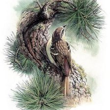 Cross stitch pattern: #407180