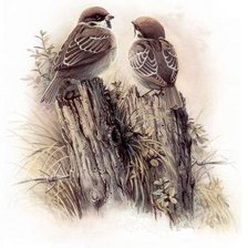 Cross stitch pattern: #407181