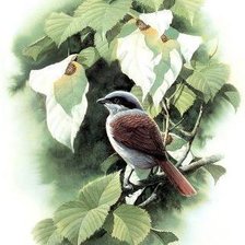 Cross stitch pattern: #407182