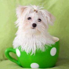 Cross stitch pattern: #407568