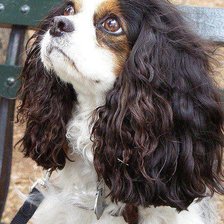 Cross stitch pattern: #407569