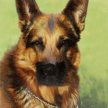 Cross stitch pattern: #407574