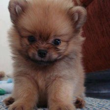 Cross stitch pattern: #407579