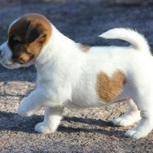 Cross stitch pattern: #407581