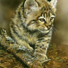 Cross stitch pattern: #407705