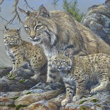 Cross stitch pattern: #407712