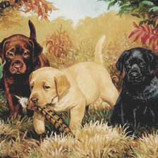 Cross stitch pattern: #408227