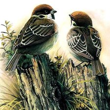 Cross stitch pattern: #408692