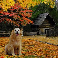 Cross stitch pattern: #409111