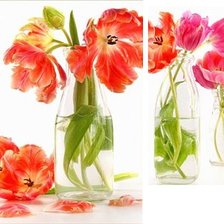 Cross stitch pattern: #411097