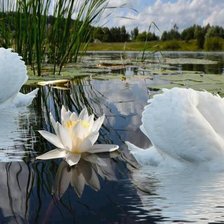 Cross stitch pattern: #412022