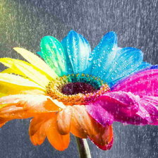 Cross stitch pattern: #412961