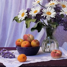 Cross stitch pattern: #414296