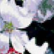 Preview of cross stitch pattern: #415269