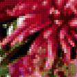 Preview of cross stitch pattern: #415539