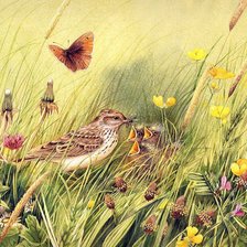 Cross stitch pattern: #416317