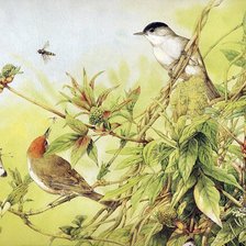 Cross stitch pattern: #416318